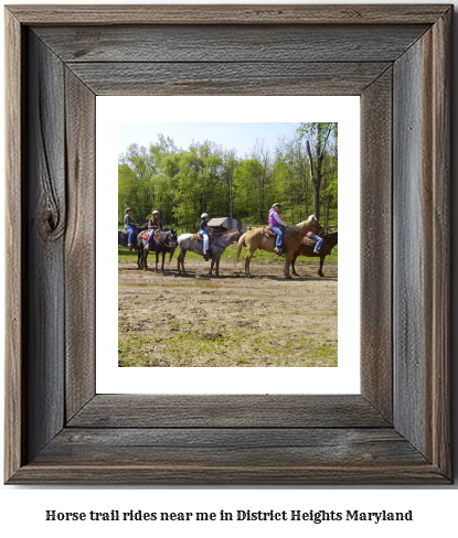 horse trail rides near me in District Heights, Maryland